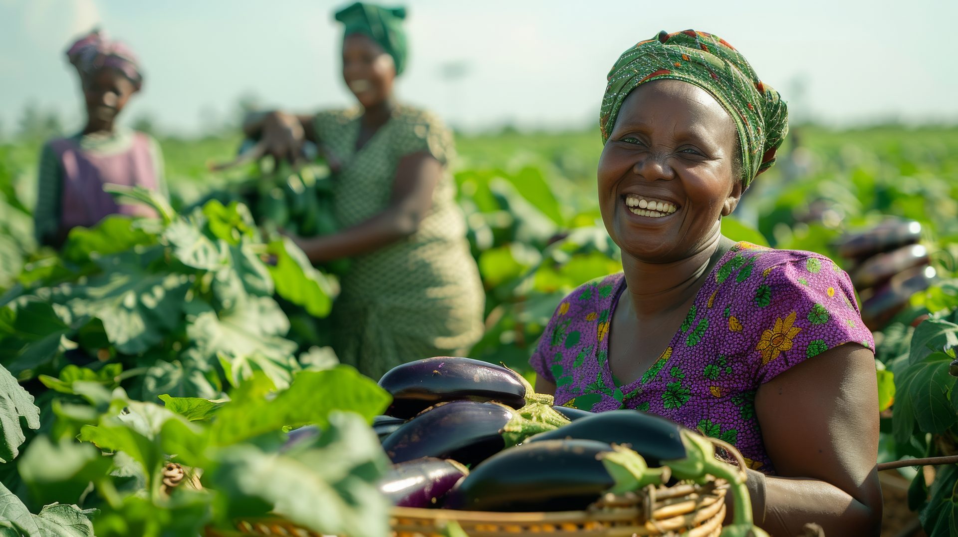 Sécurité alimentaire : surveiller la période de soudure